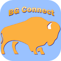 BG Connect - Service Requests