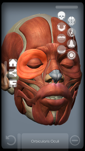 SKULL Graph Screenshot 2