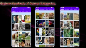 Animals of Wonder Screenshot 0