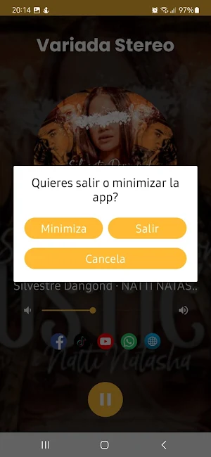 Variada Stereo Screenshot 2