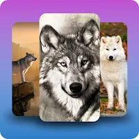 Wolf wallpapers backgrounds