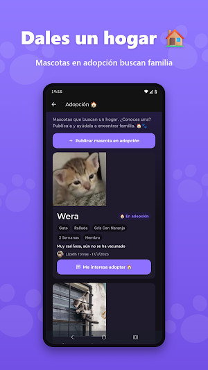Huellitas: Mascotas Perdidas Screenshot 1