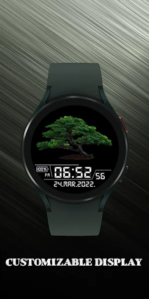 Bonsai Tree Screenshot 1