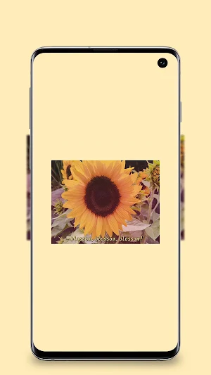 Yellow wallpaper Screenshot 3