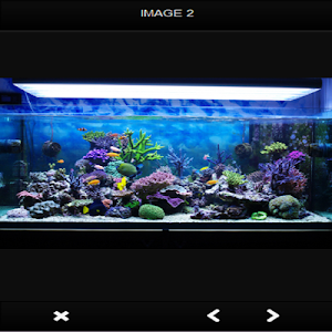 Aquascape Idea Screenshot 1