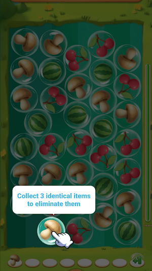 Fruits Sort Party Screenshot 1