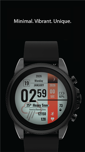 Industrial Data Watch Face Screenshot 1