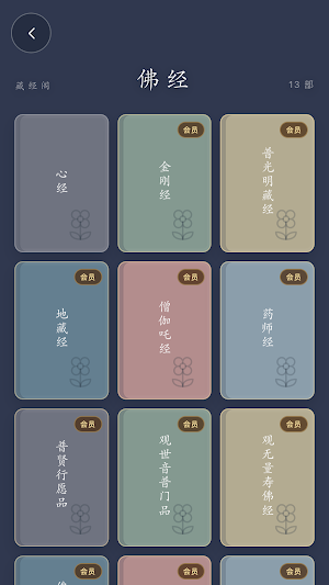 BuddhaSide Screenshot 2