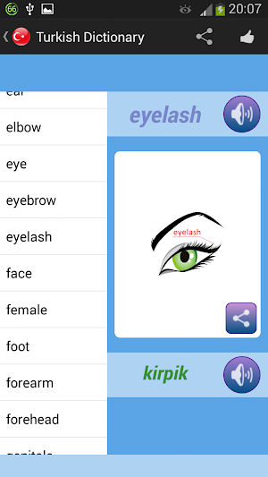 Turkish Dictionary Screenshot 2