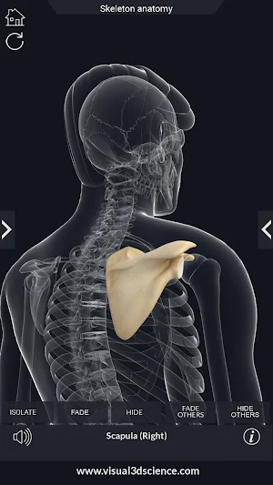 Skeleton Anatomy Pro. Screenshot 3