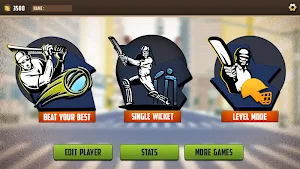 Street Cricket Tournament 2019: Live T20 World Cup Screenshot 3