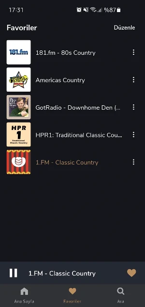 Country Radio Screenshot 2