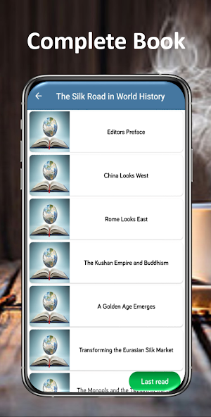 The Silk Road in World History Screenshot 1