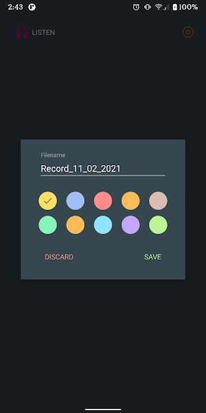 Dictaphone Screenshot 2