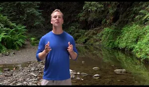 Qi Gong for Anxiety Screenshot 3