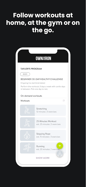 Own The Iron Screenshot 1