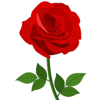 Rania Rose