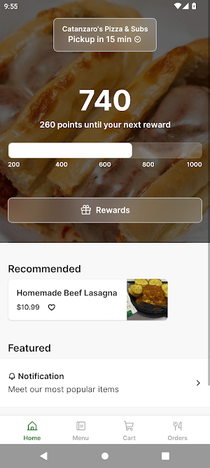 Catanzaro's Pizza & Subs Screenshot 0