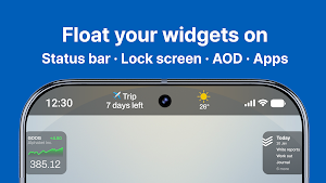 Always On Widgets–Float Widget Screenshot 0