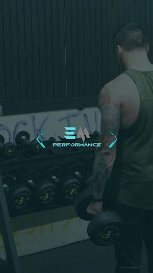 EM Performance Screenshot 0