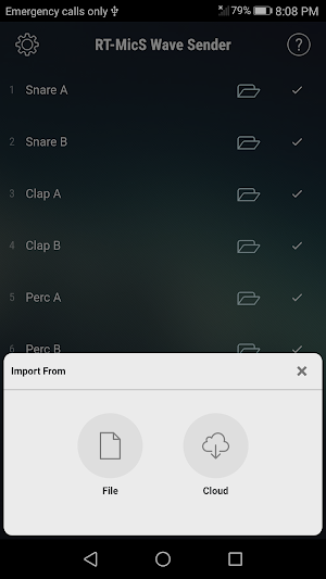 RT-MicS Wave Sender Screenshot 1