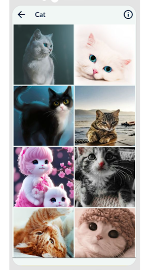 Cat Wallpaper HD Screenshot 2