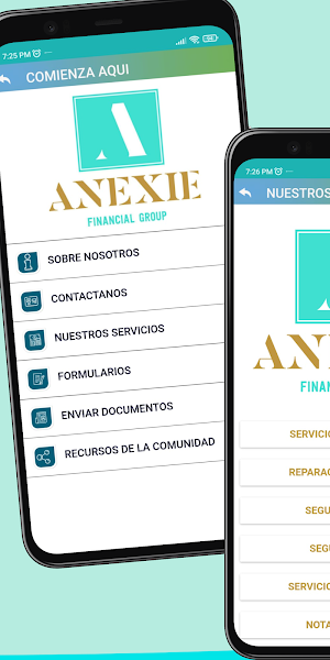 ANEXIE Screenshot 2