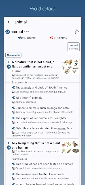 English-French Dictionary Pro Screenshot 0