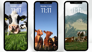 Cow Aesthetic Wallpaper Screenshot 3