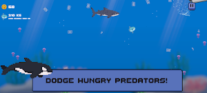 Sunfish Siesta Screenshot 2