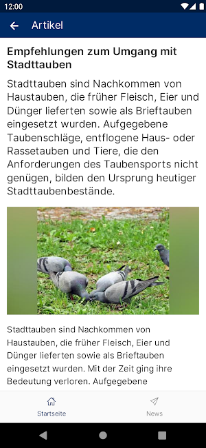inside Singen Screenshot 2