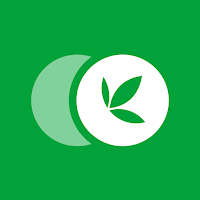 Coins by Bamboo