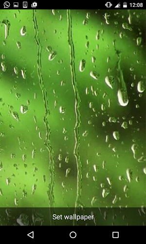 Rain Live Wallpapers Screenshot 2