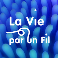 Mon Suivi - La Vie par un Fil