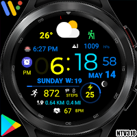 Digital Weather Sport NTV318
