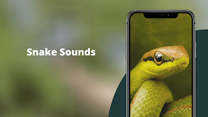 Snake Sounds Screenshot 0