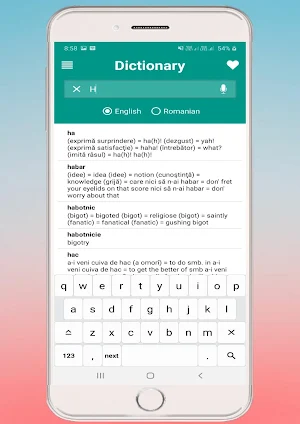English Romanian Dictionary Screenshot 3