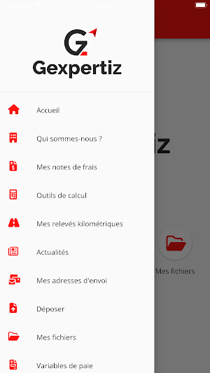 Gexpertiz Screenshot 2