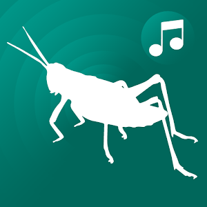 cricket sound Screenshot 1