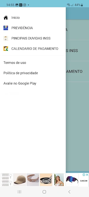 Meu Guia do INSS Screenshot 2