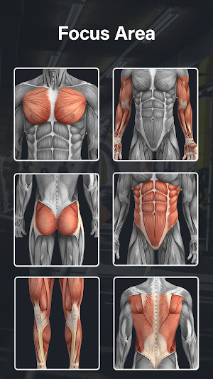 Fitness App: Full Body Workout Screenshot 1