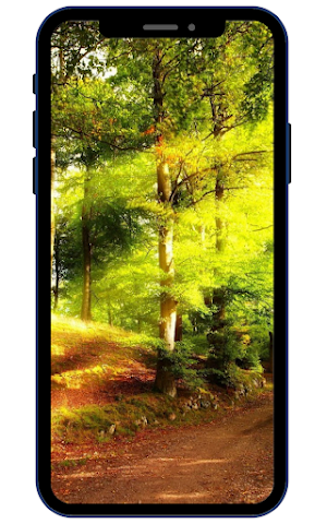 Forest Wallpapers Screenshot 3