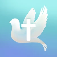 Daily Bible Study with Friends