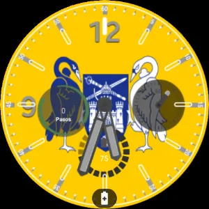 Canberra Flag Watchface Screenshot 3