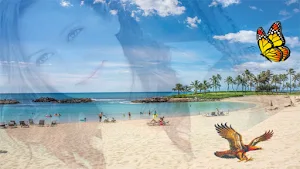 Ocean Photo Frames Screenshot 0