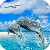 Dolphins 3D Video Wallpaper