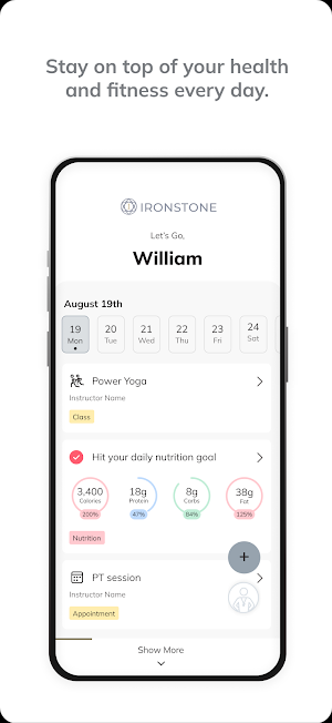 Ironstone Screenshot 3