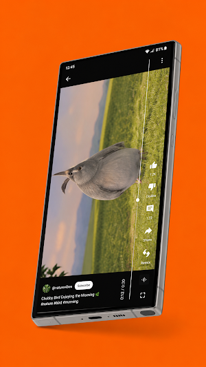 Fly Player Screenshot 2