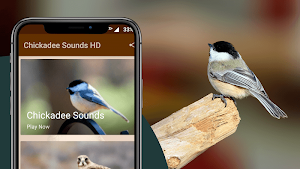 Chickadee Sounds Screenshot 0