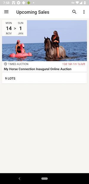 My Horse Connection Screenshot 0